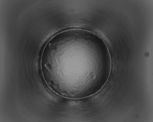 X0000091680346200708301524