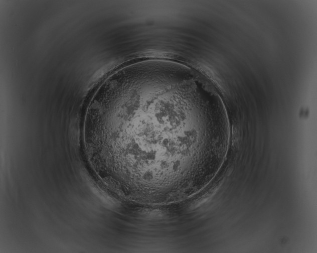 X0000091680349200708301524