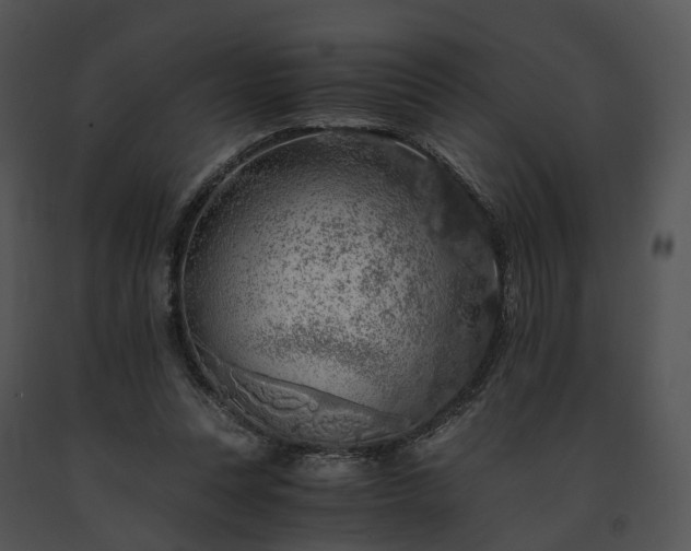 X0000091680351200708301524