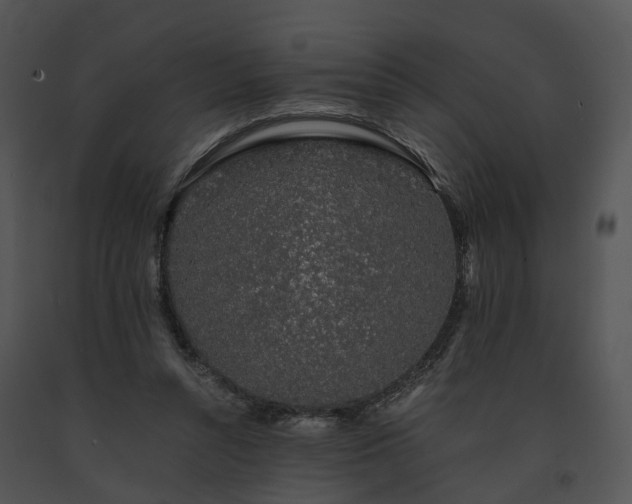 X0000091680352200708301524