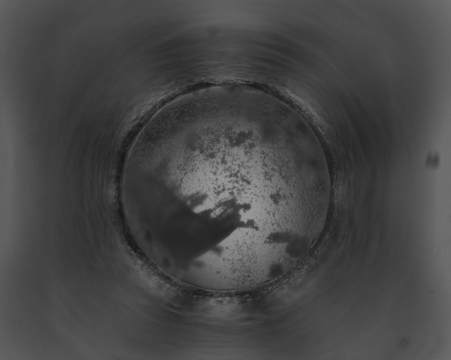 X0000091680353200708301524