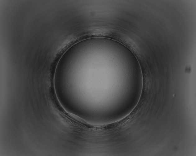 X0000091680354200708301524