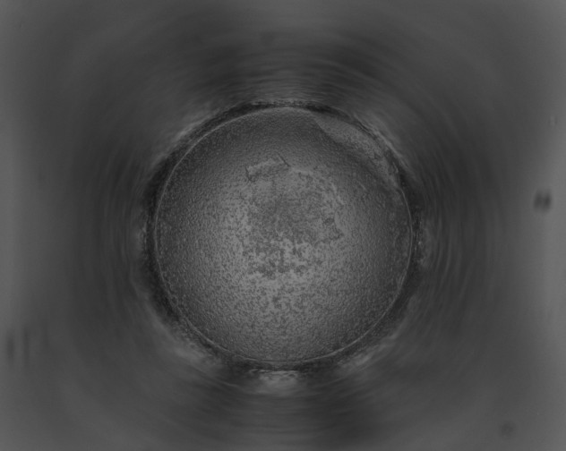 X0000091680355200708301524