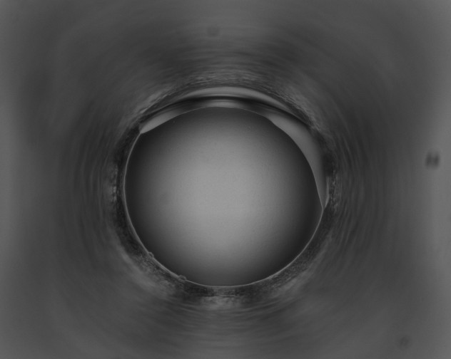 X0000091680356200708301524