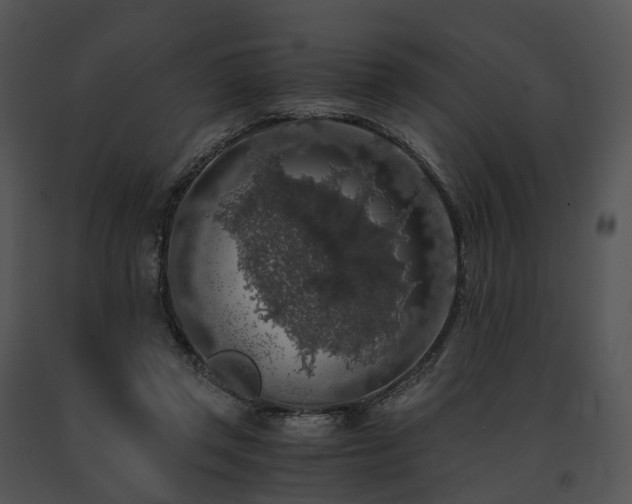 X0000091680357200708301524
