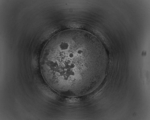 X0000091680359200708301524