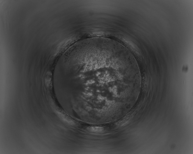 X0000091680361200708301525