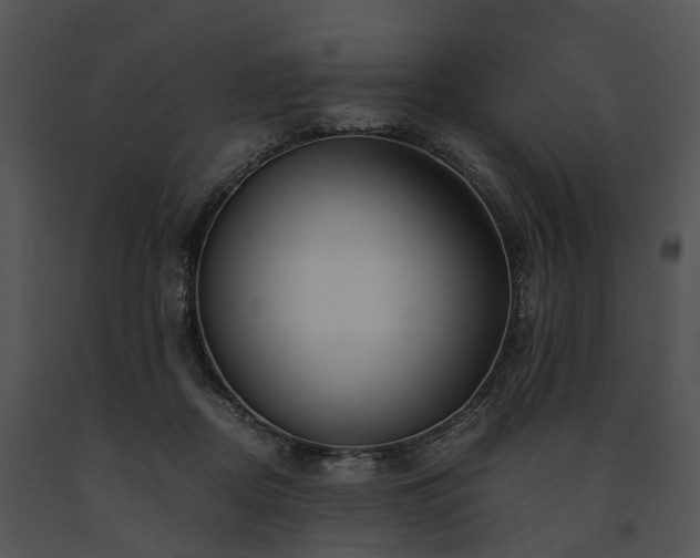 X0000091680362200708301525