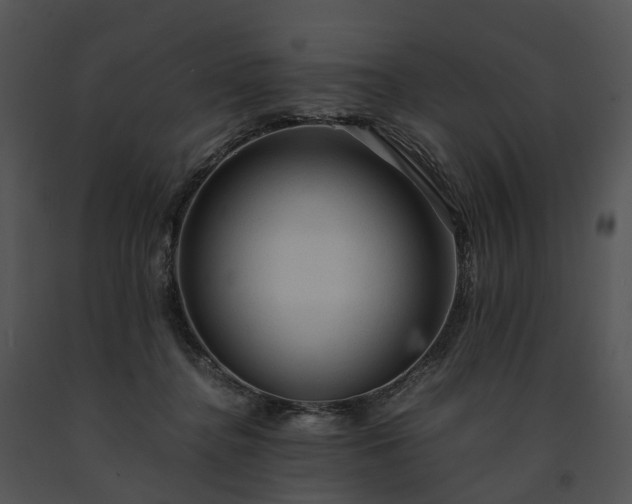 X0000091680364200708301525