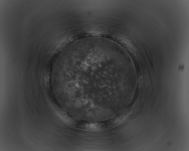 X0000091680365200708301525