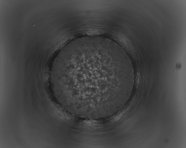 X0000091680367200708301525
