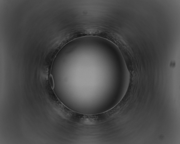 X0000091680368200708301525
