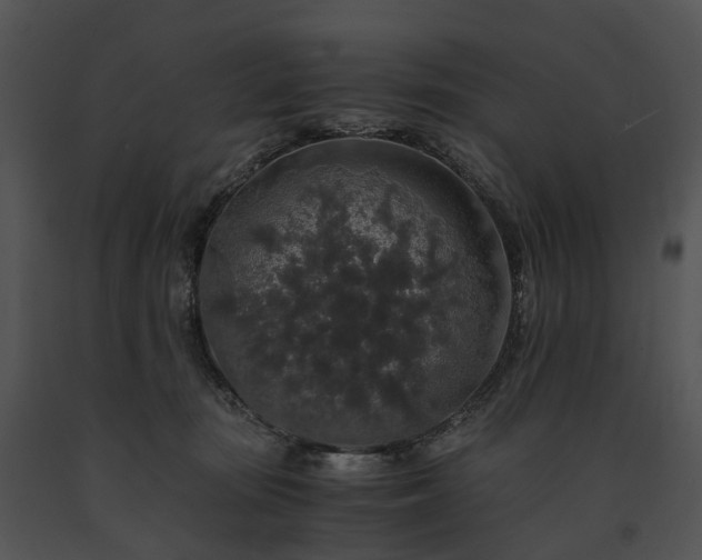 X0000091680371200708301525