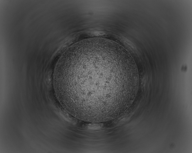 X0000091680373200708301525