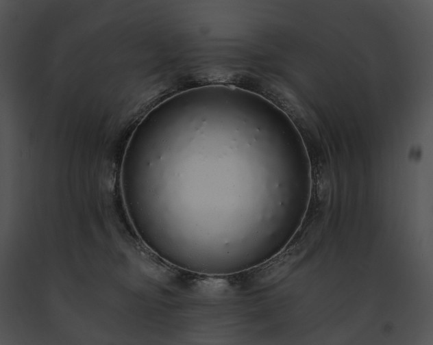 X0000091680374200708301525