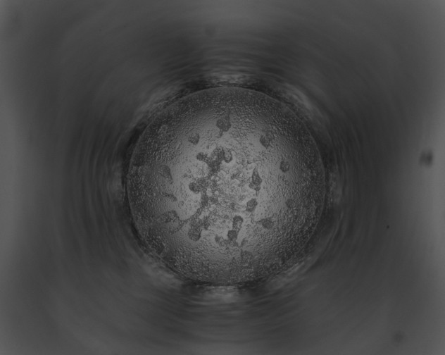 X0000091680377200708301525