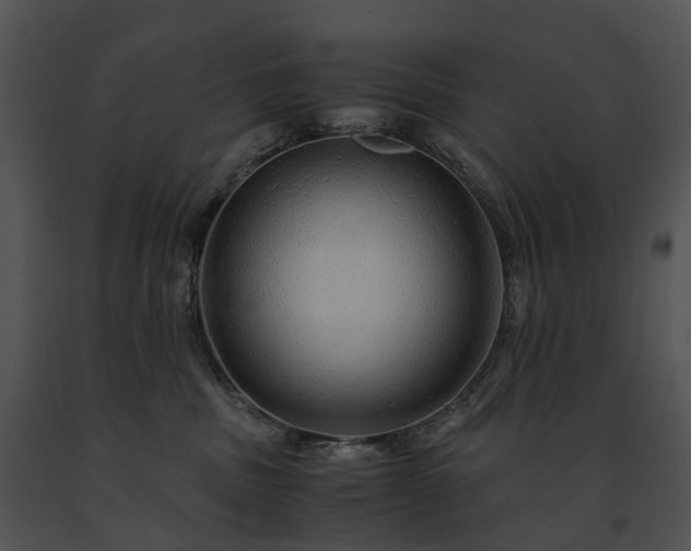 X0000091680379200708301525