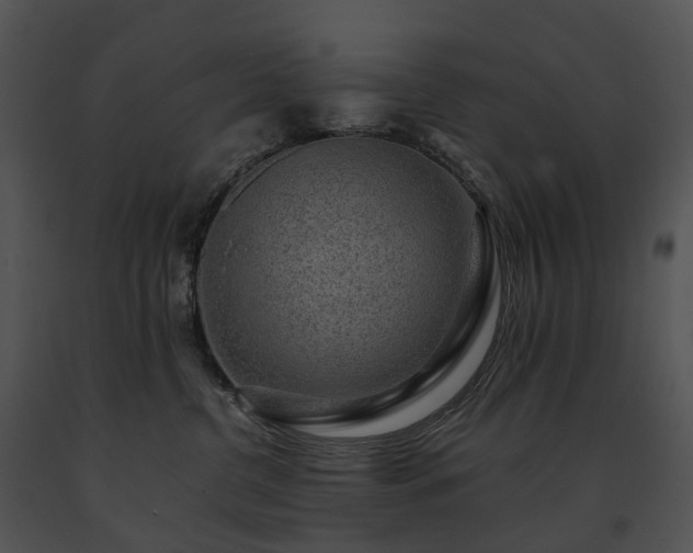 X0000091680380200708301525