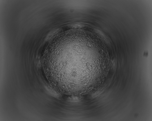 X0000091680381200708301525