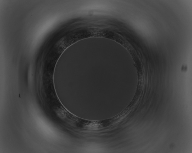X0000091680383200708301525