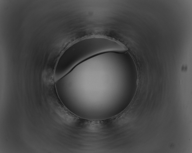 X0000091680384200708301525