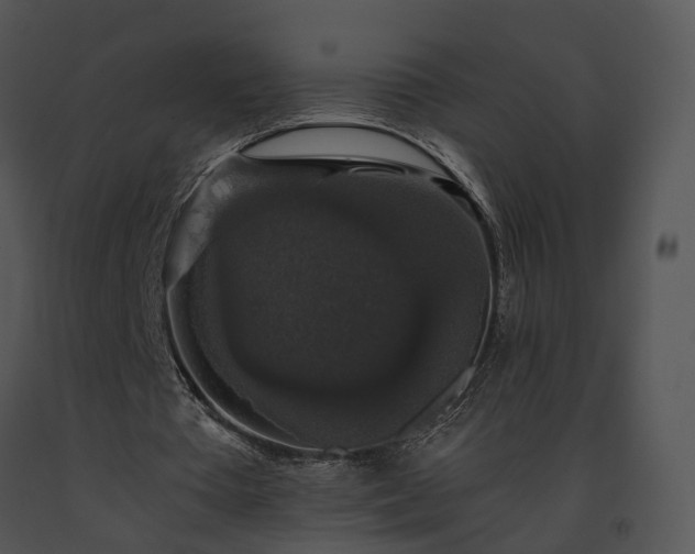 X0000091680385200708301524