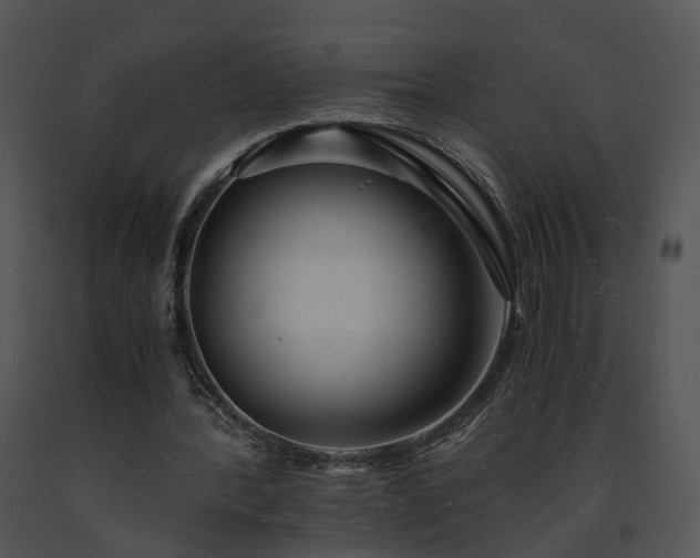 X0000091680388200708301524
