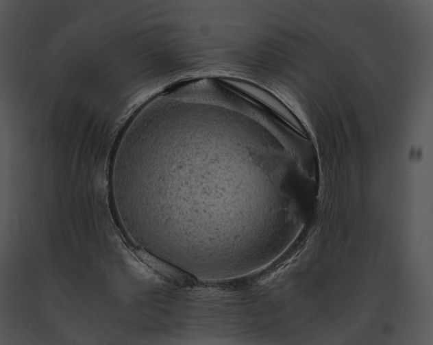 X0000091680389200708301524