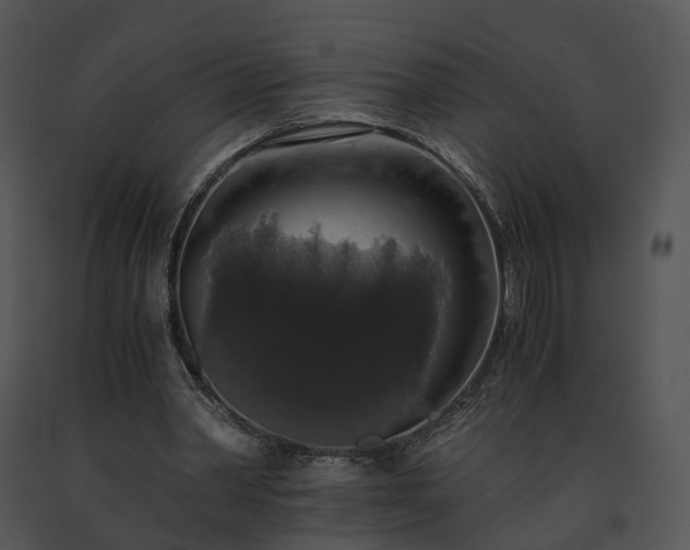X0000091680390200708301524