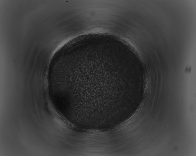 X0000091680392200708301524