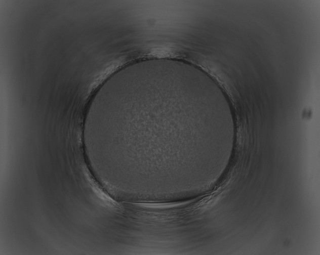X0000091680393200708301524