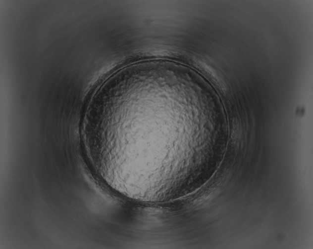 X0000091680394200708301524