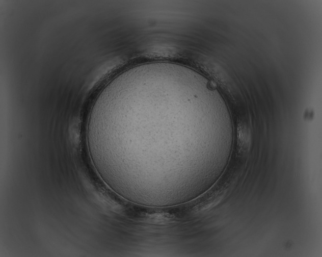 X0000091680396200708301524