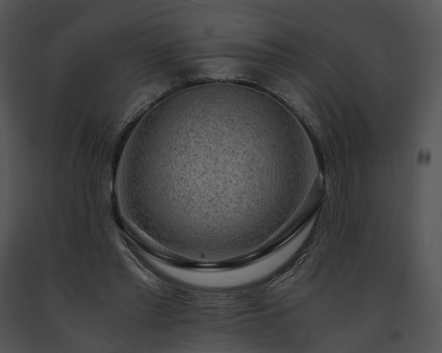 X0000091680397200708301524
