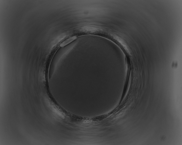 X0000091680399200708301524
