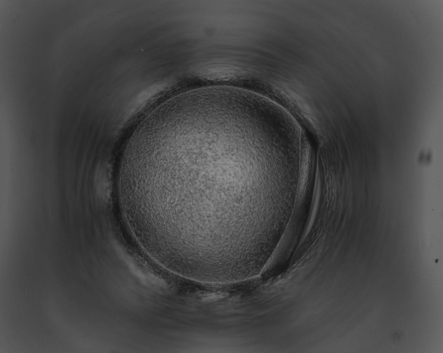 X0000091680400200708301524