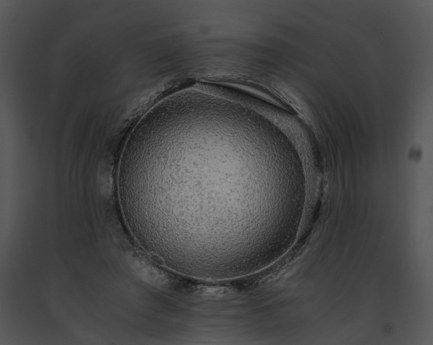 X0000091680401200708301524