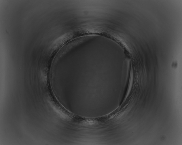 X0000091680402200708301524