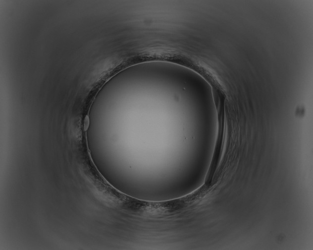 X0000091680403200708301524