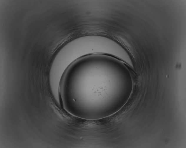 X0000091680405200708301524