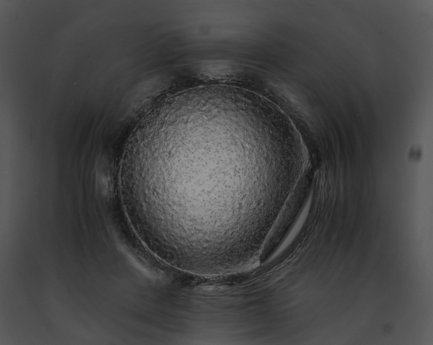 X0000091680408200708301524