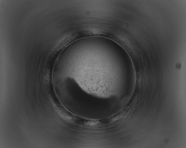 X0000091680410200708301524