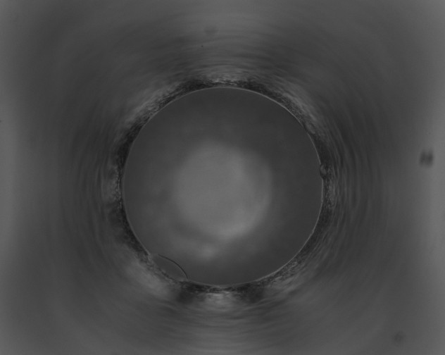 X0000091680411200708301524
