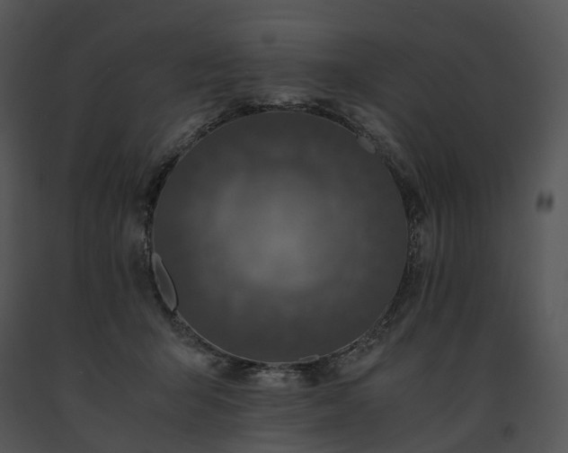 X0000091680415200708301524