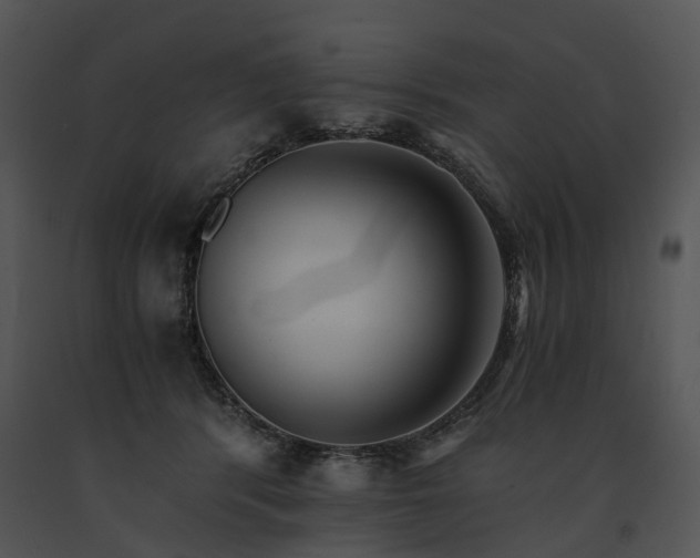 X0000091680416200708301524