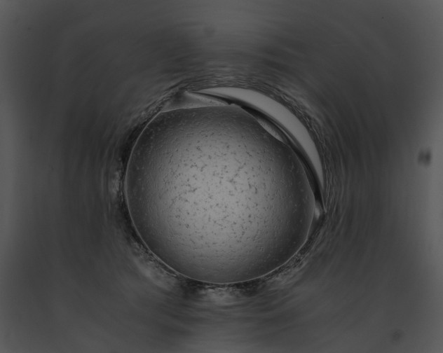 X0000091680417200708301524
