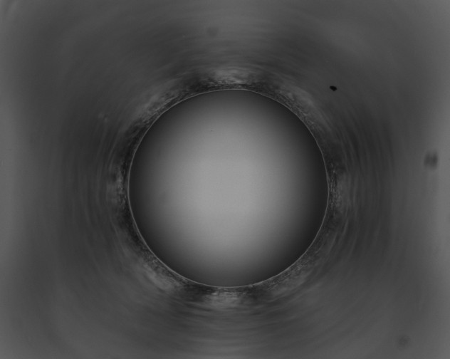 X0000091680418200708301524