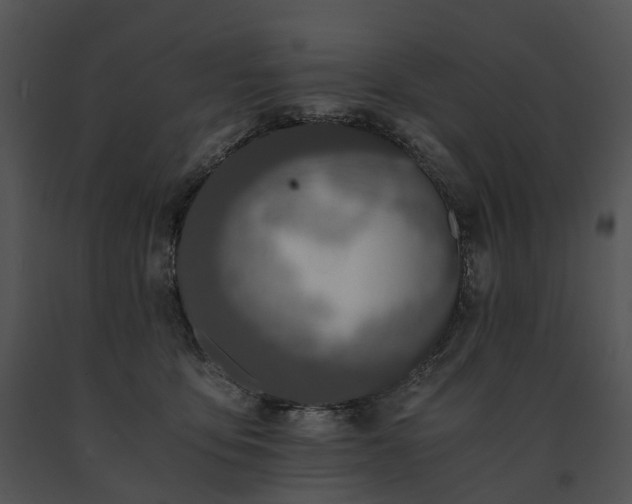 X0000091680419200708301524
