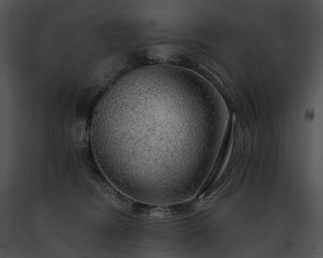 X0000091680420200708301524