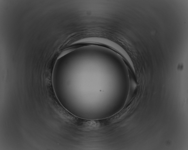 X0000091680421200708301524